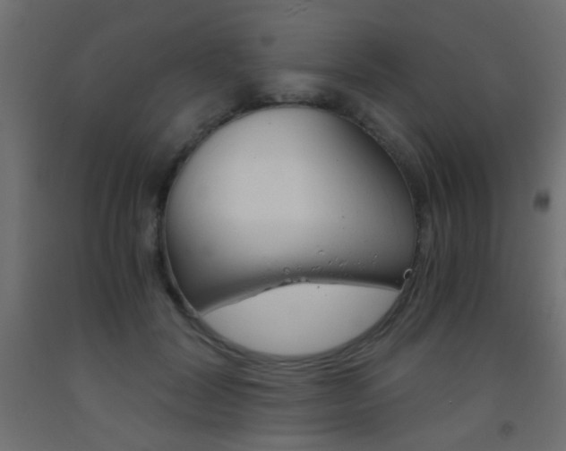 X0000093440604200710120947
