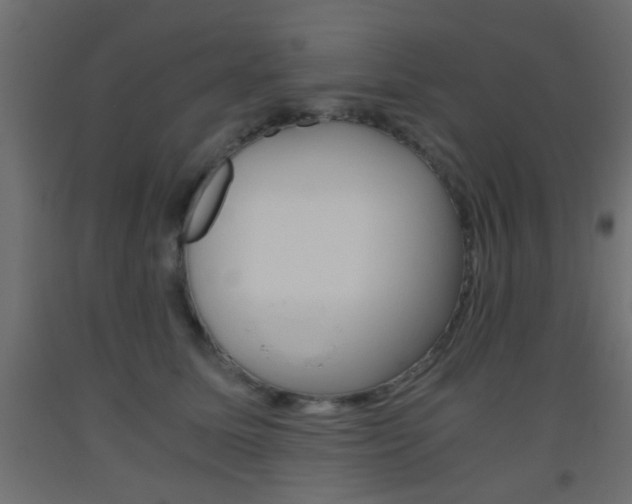 X0000093440611200710120947