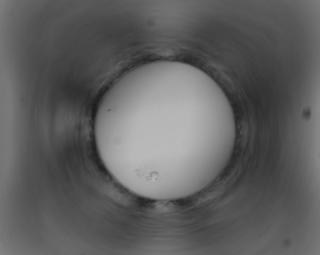 X0000093440612200710120947