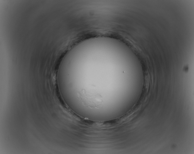 X0000093440613200710120947