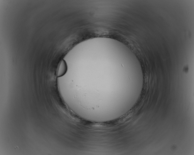 X0000093440614200710120947