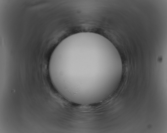 X0000093440615200710120947
