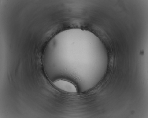 X0000093440616200710120947