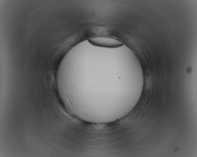 X0000093440618200710120946