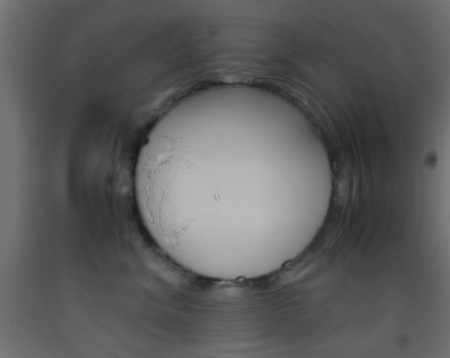 X0000093440620200710120946