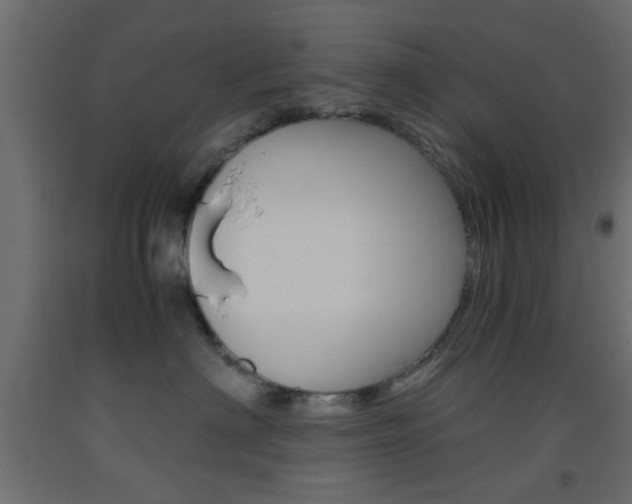 X0000093440622200710120946