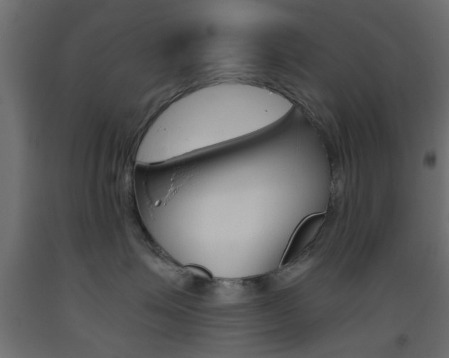 X0000093440623200710120946