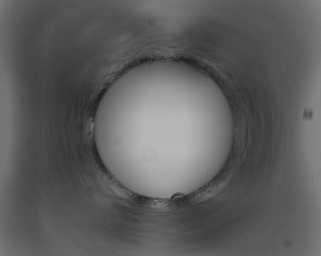 X0000093440624200710120946