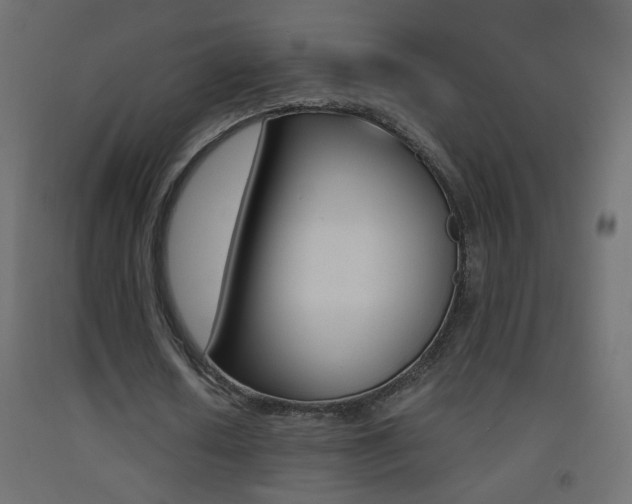 X0000093440626200710120946