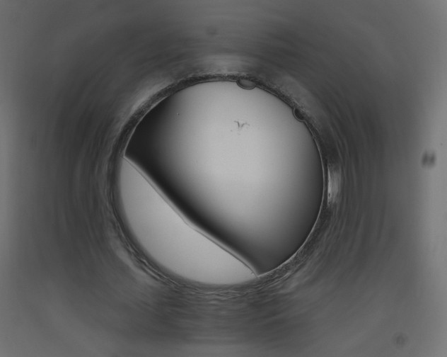 X0000093440627200710120946