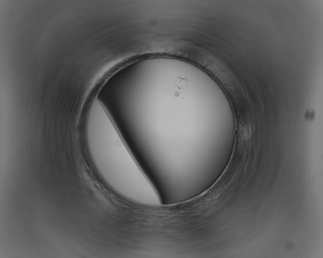 X0000093440628200710120946