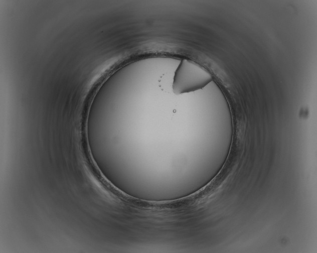 X0000093440629200710120946