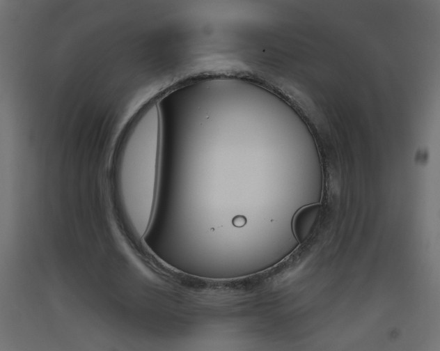 X0000093440630200710120946