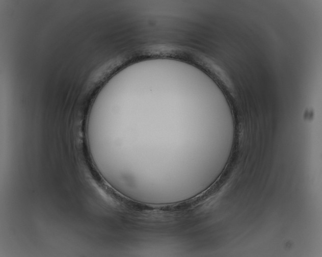 X0000093440633200710120946