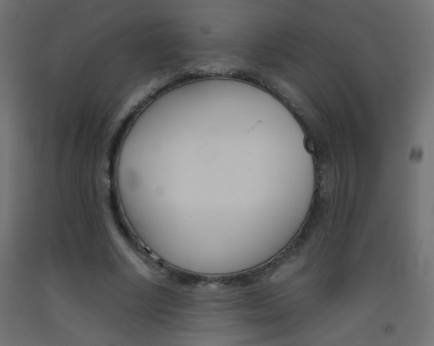X0000093440634200710120946