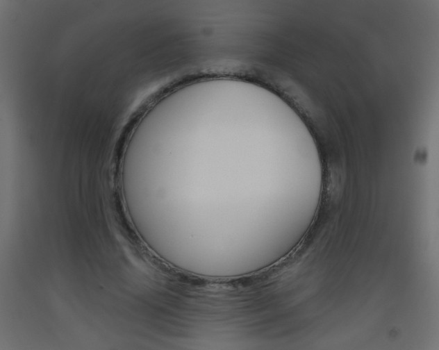 X0000093440636200710120946