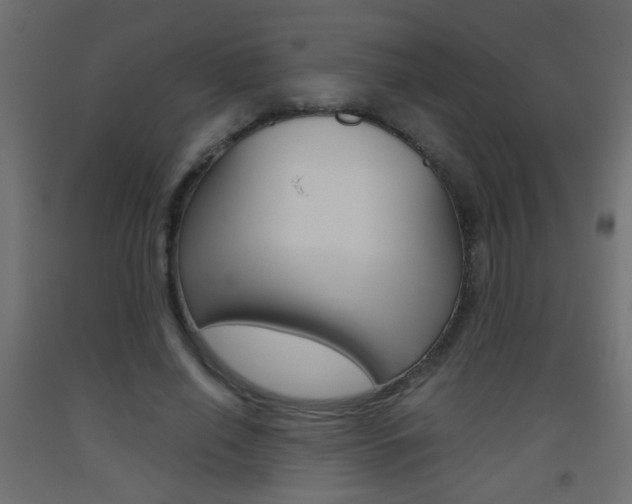X0000093440638200710120946