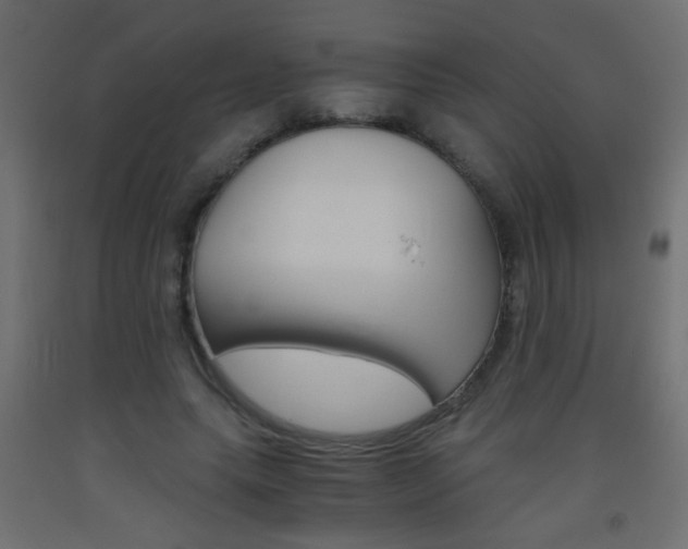 X0000093440639200710120946