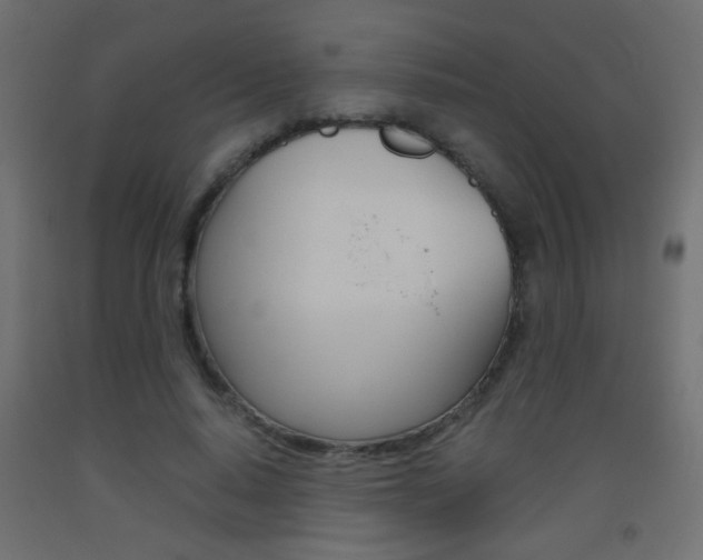 X0000093440640200710120946