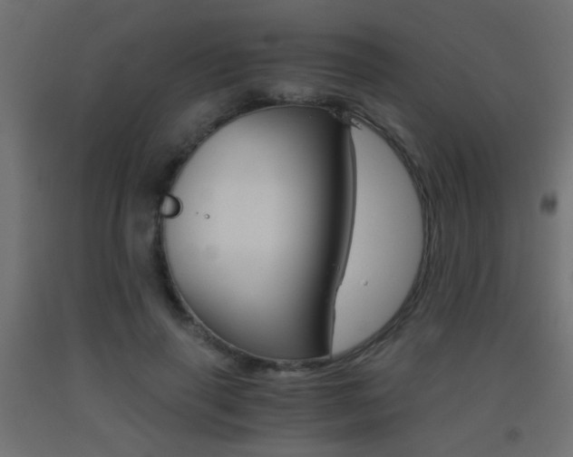 X0000093440645200710120946