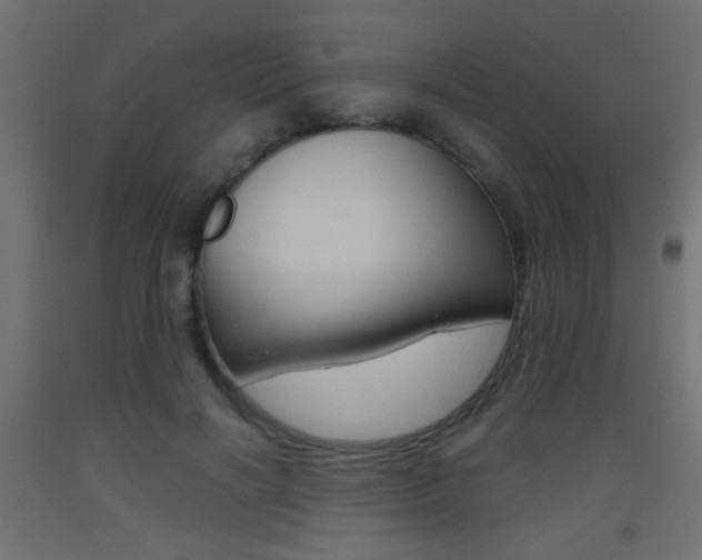 X0000093440646200710120946