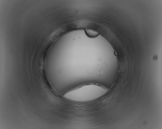 X0000093440648200710120946