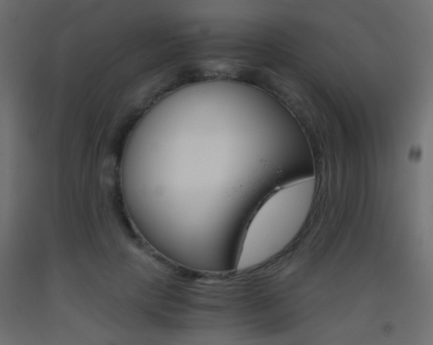 X0000093440649200710120946