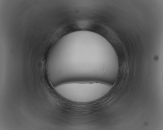 X0000093440651200710120946