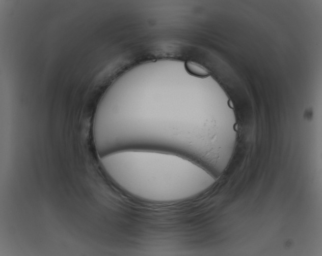 X0000093440652200710120946
