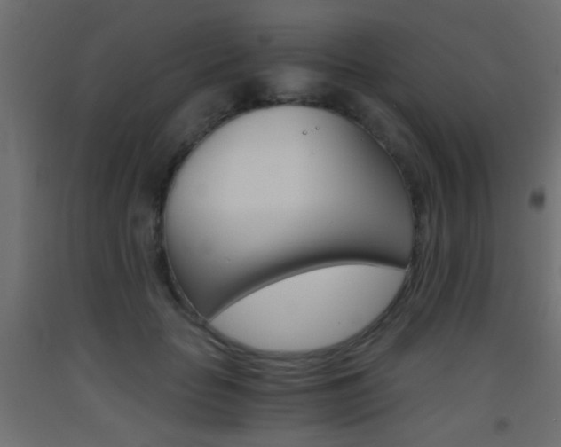 X0000093440653200710120946
