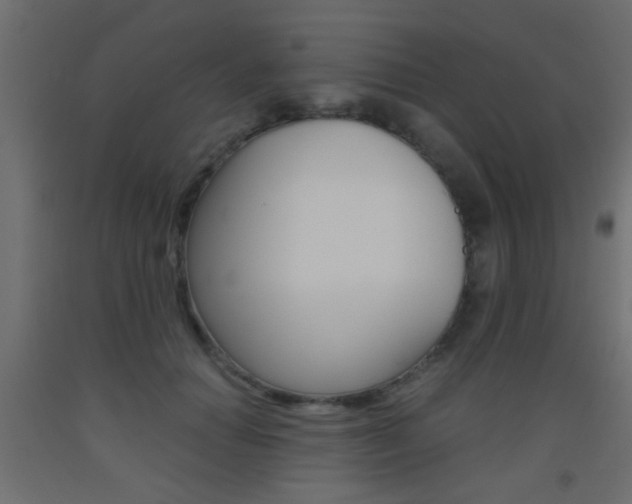 X0000093440654200710120946