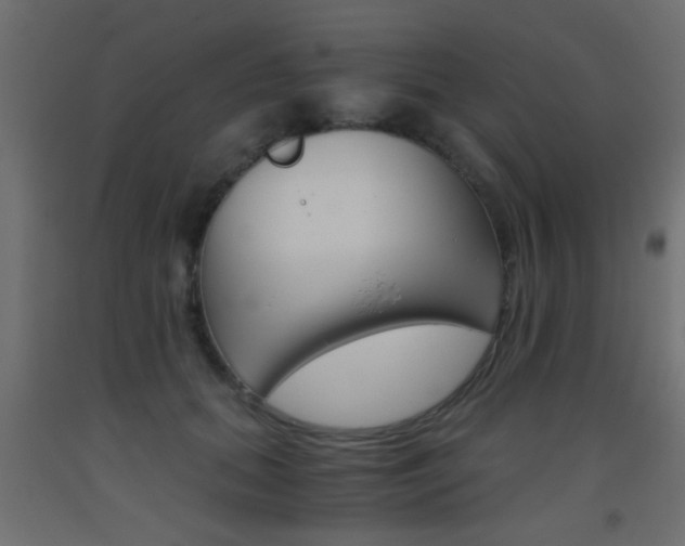 X0000093440655200710120946