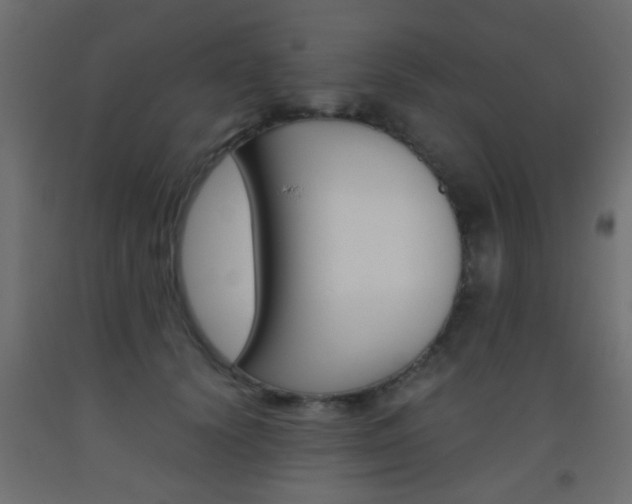 X0000093440656200710120946
