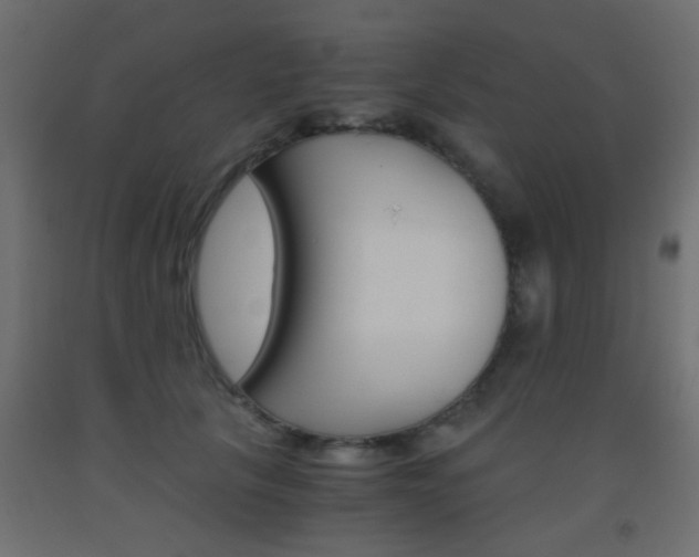 X0000093440657200710120946