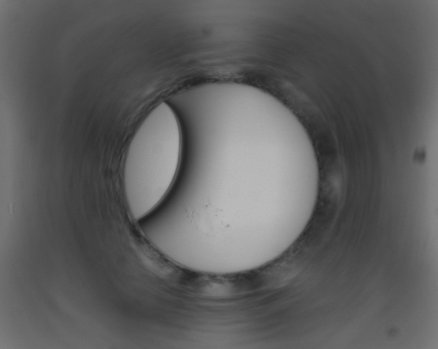 X0000093440658200710120946