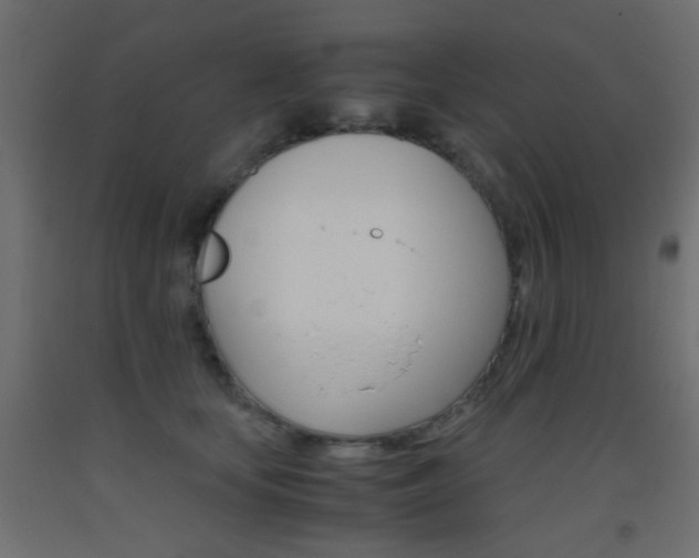 X0000093440659200710120946