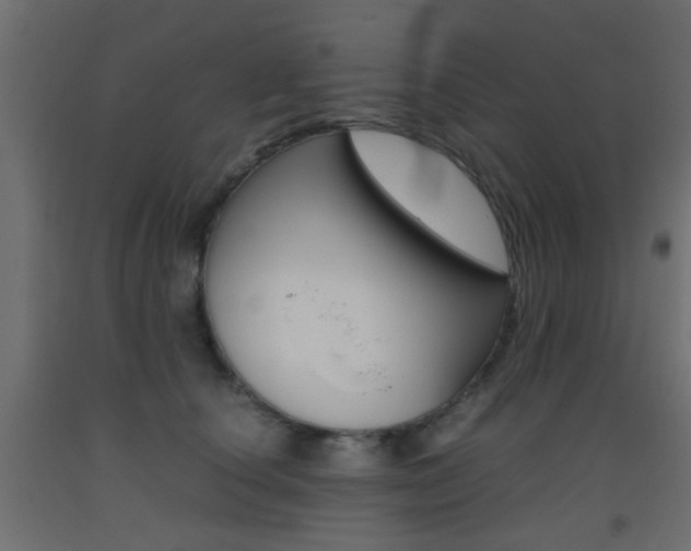 X0000093440660200710120946