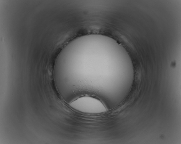 X0000093440661200710120946