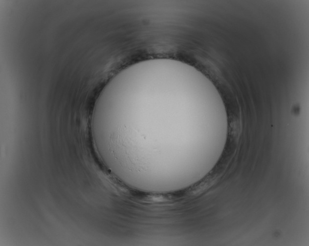 X0000093440662200710120946