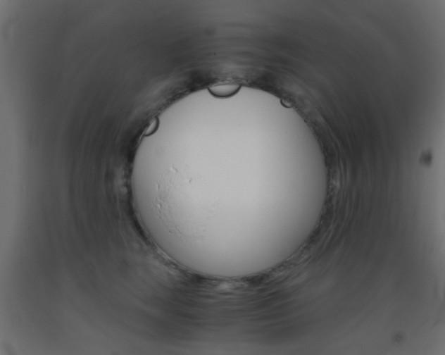 X0000093440663200710120946