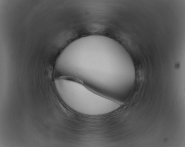 X0000093440664200710120946