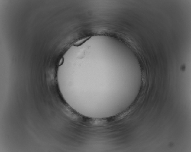 X0000093440670200710120946