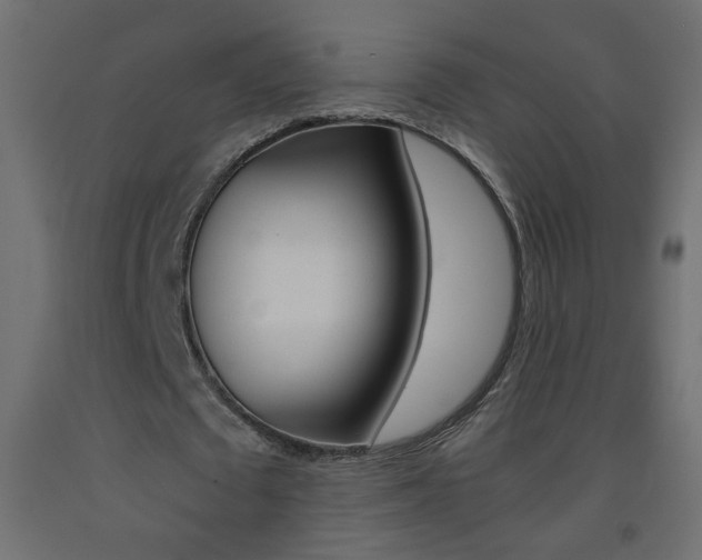 X0000093440673200710120946
