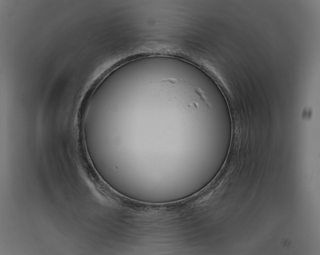X0000093440674200710120946