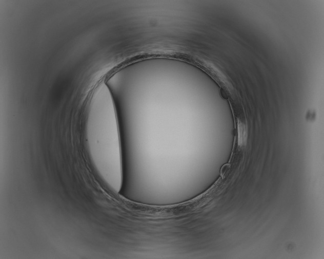 X0000093440675200710120946