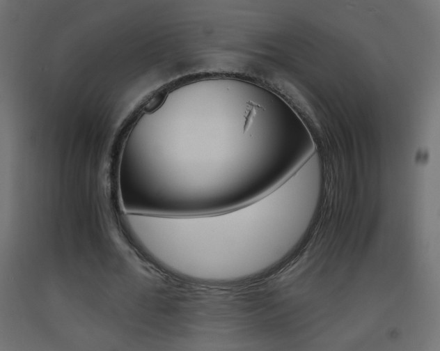 X0000093440676200710120946