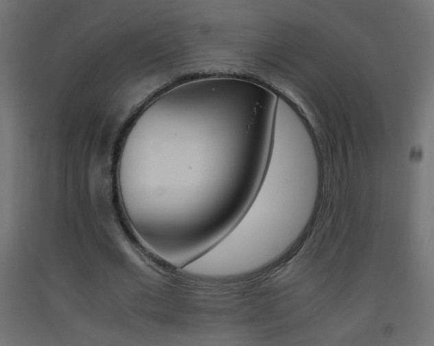 X0000093440677200710120946