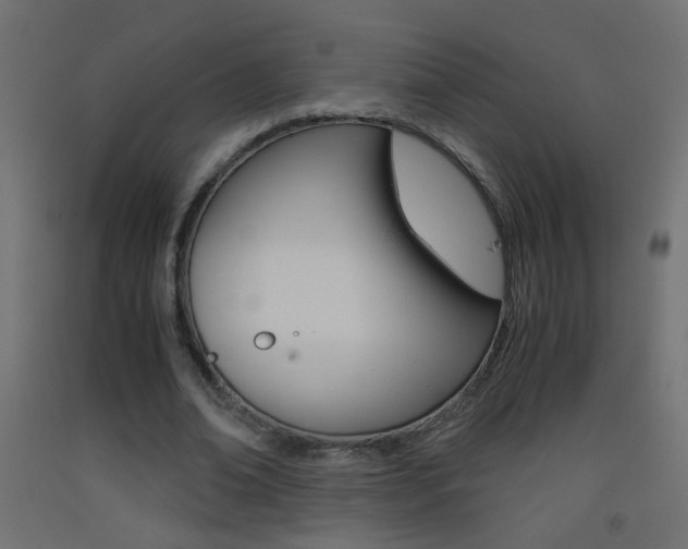 X0000093440678200710120946