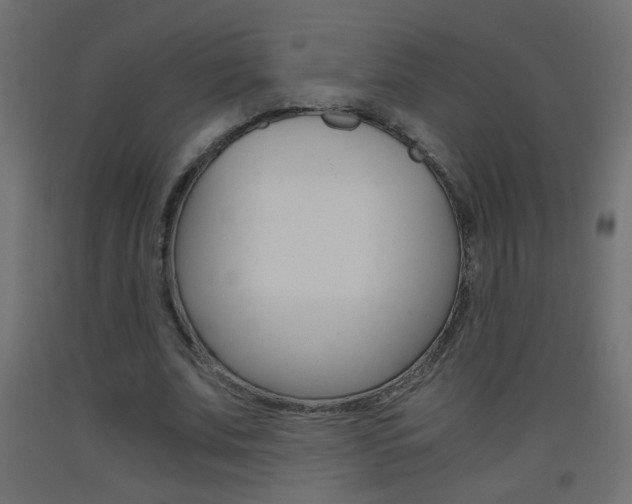 X0000093440679200710120946