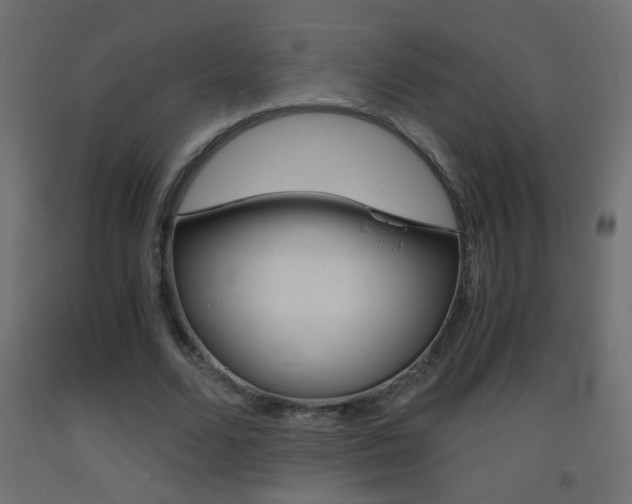 X0000093440680200710120946